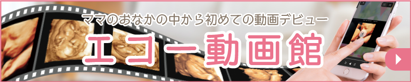 ベビーカレンダー エコー動画館
